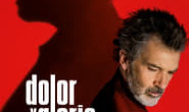 כאב ותהילה לצפייה ישירה עם תרגום מובנה | Pain and Glory