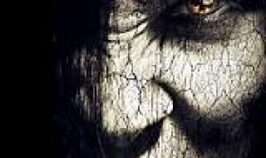 הרשע תרגום מובנה לצפייה ישירה | The Wicked