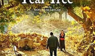 עץ האגס הפראי לצפייה ישירה עם תרגום מובנה | The Wild Pear Tree