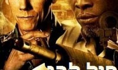 פיל לבן תרגום מובנה לצפייה ישירה | Elephant White