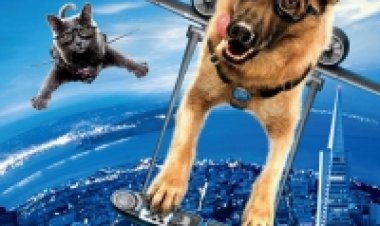 כלבים נגד חתולים 12 תרגום מובנה מדובב לצפייה ישירה