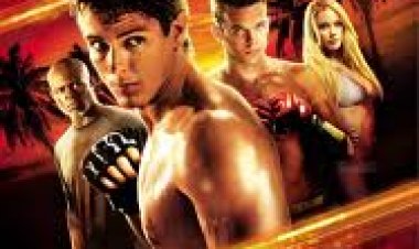 לעולם אל תיסוג תרגום מובנה לצפייה ישירה