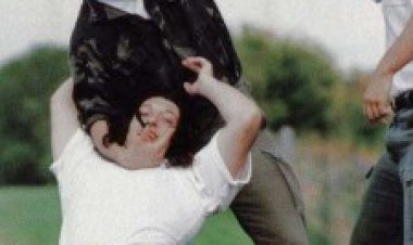 לימוד אומנות לחימה לצפייה ישירה