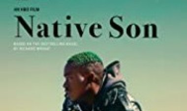 בן הארץ לצפייה ישירה עם תרגום מובנה | Native Son