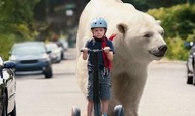 טימי כישלון טעויות בוצעו לצפייה ישירה עם תרגום מובנה | Timmy Failure