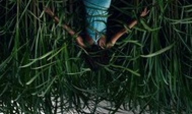 בעשב הגבוה לצפייה ישירה עם תרגום מובנה | In the Tall Grass