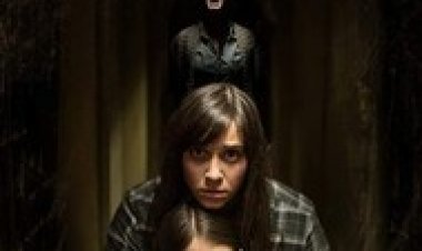 הקולות לצפייה ישירה עם תרגום מובנה | The Voices