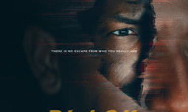 קופסה שחורה לצפייה ישירה עם תרגום מובנה | Black Box