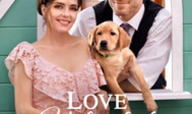 לאלף את הלב לצפייה ישירה עם תרגום מובנה | Love Unleashed