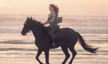 בלאק ביוטי לצפייה ישירה עם תרגום מובנה | Black Beauty