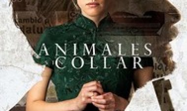 ללא מעצורים לצפייה ישירה עם תרגום מובנה | Unbridled