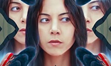 דוב שחור לצפייה ישירה עם תרגום מובנה | Black Bear