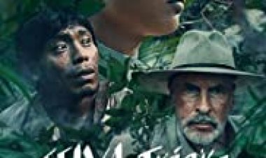 ייסורי הגונגל לצפייה ישירה עם תרגום מובנה | Selva tragica