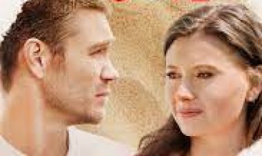 ארמונות בחול לצפייה ישירה עם תרגום מובנה | Sand Dollar Cove