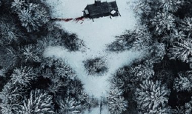 פעילות על טבעית קרובת משפחה לצפייה ישירה עם תרגום מובנה | Paranormal Activity Next of Kin