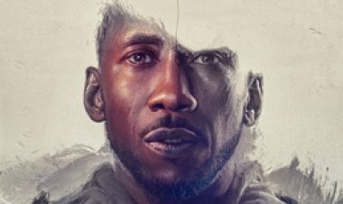 שירת הברבור לצפייה ישירה עם תרגום מובנה | Swan Song