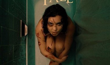 נפילה חופשית לצפייה ישירה עם תרגום מובנה | The Free Fall