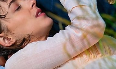 השפעה לצפייה ישירה עם תרגום מובנה | Persuasion