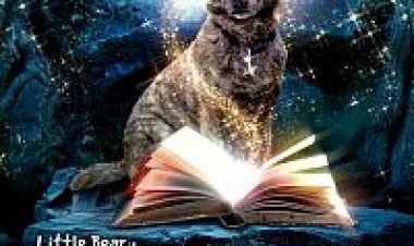 הקוסם המדהים בעל כפות הרגליים תרגום מובנה / The Amazing Wizard of Paws לצפייה ישירה