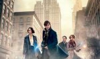 חיות הפלא והיכן למצוא אותן תרגום מובנה Fantastic Beasts and Where to Find Them לצפייה ישירה