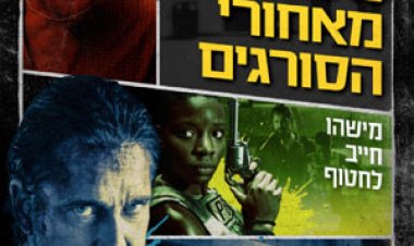 מטרה מאחורי לצפייה ישירה עם תרגום מובנה | Copshop