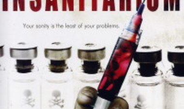 בית משוגעים 2008 תרגום מובנה לצפייה ישירה