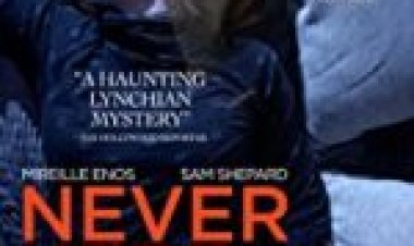 לא בנמצא לצפייה ישירה תרגום גוגל / Never Here לצפייה ישירה