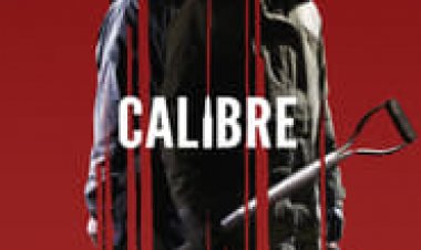 קליבר לצפייה ישירה עם תרגום מובנה | Calibre