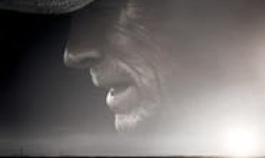 הפרד לצפייה ישירה עם תרגום מובנה | The Mule