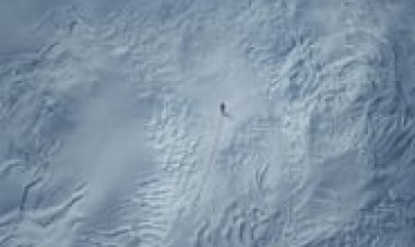 קפוא לצפייה ישירה עם תרגום מובנה | Arctic