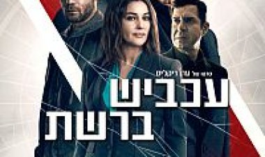 עכביש ברשת לצפייה ישירה עם תרגום מובנה | Spider In The Web