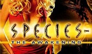 מין מסוכן 4: ההתעוררות (2007) תרגום מובנה לצפייה ישירה