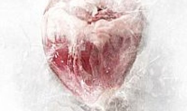 קניבל תרגום מובנה לצפייה ישירה