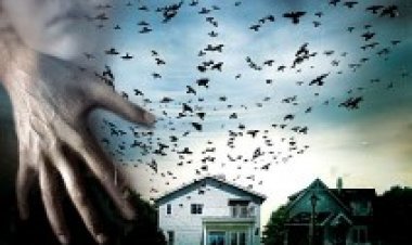 שמיים אפלים תרגום מובנה לצפייה ישירה | Dark Skies