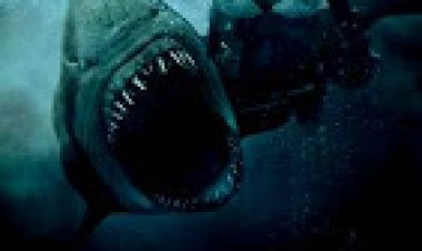 ליל הכריש *תרגום מובנה * / Shark Night לצפייה ישירה