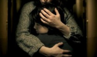 המוניטור תרגום מובנה לצפייה ישירה