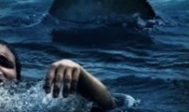 השונית (2010) תרגום מובנה לצפייה ישירה