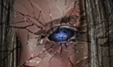 רעש באמצע לצפייה ישירה עם תרגום מובנה | Noise in the Middle