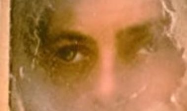 זה שמאכילים אותו לצפייה ישירה עם תרגום מובנה | The One You Feed