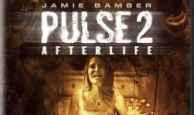 פעימה 2: היום שאחרי *תרגום מובנה* לצפייה ישירה