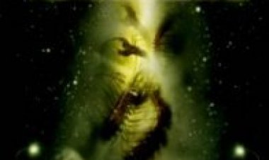 ציידי החייזרים תרגום מובנה לצפייה ישירה | Alien Raiders