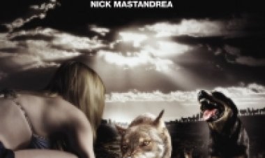 הזן תרגום מובנה לצפייה ישירה