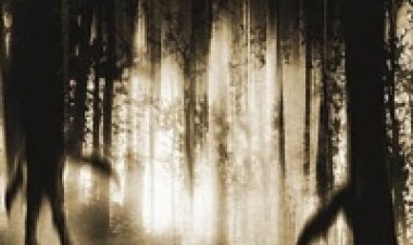 להשתנות תרגום מובנה לצפייה ישירה