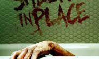 מחסה במקום לצפייה ישירה עם תרגום מובנה | Shelter in Place