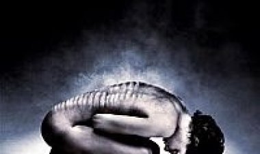 גידול תרגום מובנה לצפייה ישירה