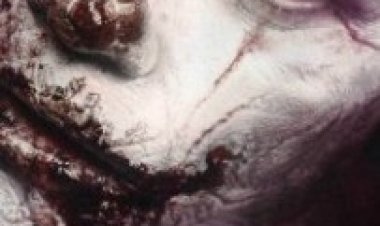 ליצן תרגום מובנה – Clown