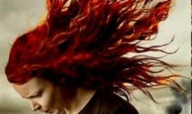 דליברנס קריק תרגום מובנה – מתוקן ( 2014 ) Deliverance Creek