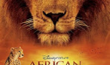 חתולים אפריקאים * תרגום מובנה */African Cats לצפייה ישירה