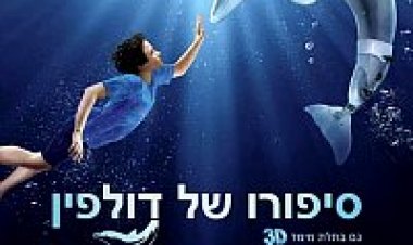 סיפורו של דולפין תרגום מובנה לצפייה ישירה | Dolphin Tale
