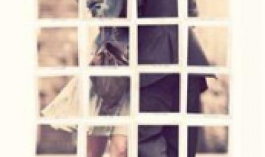 יום אחד תרגום מובנה לצפייה ישירה | One Day